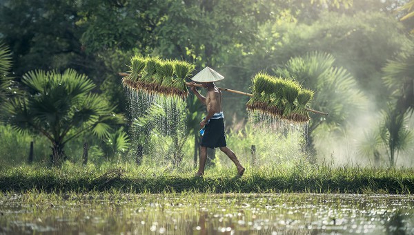 Building water system for poor